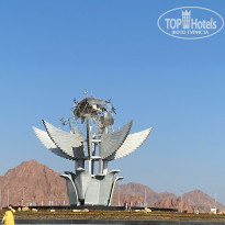 фото из отзыва ID 2323661