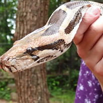 фото из отзыва ID 2323804