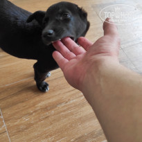 фото из отзыва ID 2323804