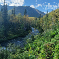 фото из отзыва ID 2323880