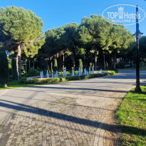 фото из отзыва ID 2323882