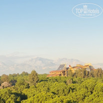 фото из отзыва ID 2323882