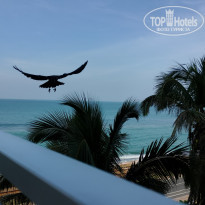 фото из отзыва ID 2323938