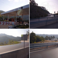 фото из отзыва ID 2323986