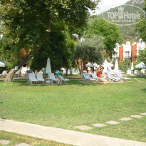 фото из отзыва ID 2323986