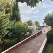 фото из отзыва ID 2323986