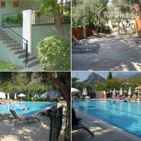 фото из отзыва ID 2323986