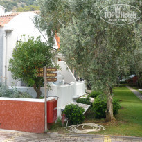 фото из отзыва ID 2323986