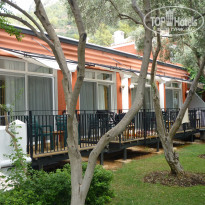 фото из отзыва ID 2323986