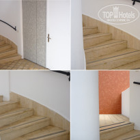 фото из отзыва ID 2323986