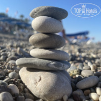 фото из отзыва ID 2323999