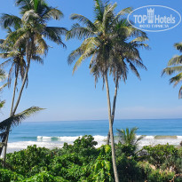 фото из отзыва ID 2324041