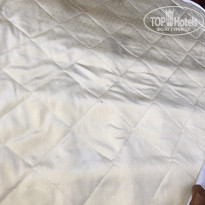 фото из отзыва ID 2324074