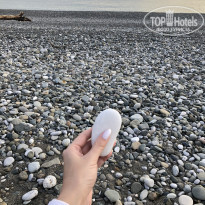 фото из отзыва ID 2324074