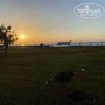 фото из отзыва ID 2324189