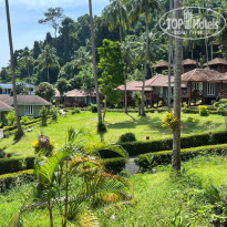 фото из отзыва ID 2324320