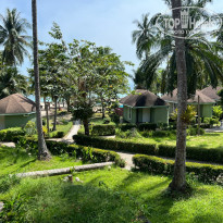 фото из отзыва ID 2324320