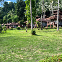 фото из отзыва ID 2324320