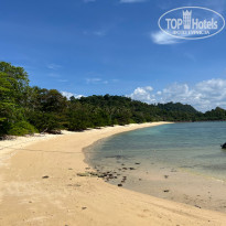 фото из отзыва ID 2324320