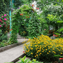 фото из отзыва ID 2324341