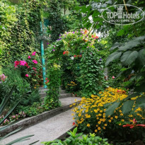 фото из отзыва ID 2324341