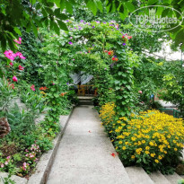 фото из отзыва ID 2324341