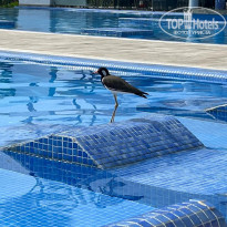 фото из отзыва ID 2324409