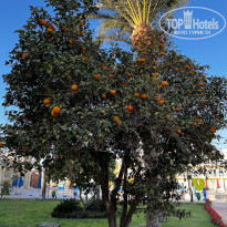 фото из отзыва ID 2324431