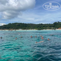 фото из отзыва ID 2324443