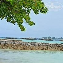 фото из отзыва ID 2324599