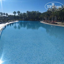 фото из отзыва ID 2324602