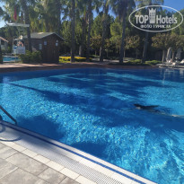 фото из отзыва ID 2324602