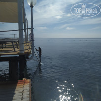 фото из отзыва ID 2324602