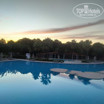 фото из отзыва ID 2324602