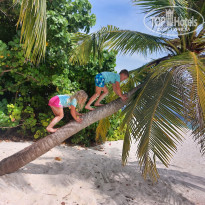 фото из отзыва ID 2324913