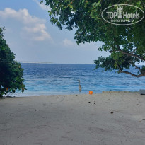 фото из отзыва ID 2324913