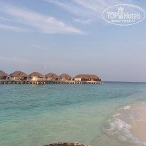 фото из отзыва ID 2324913