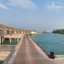 фото из отзыва ID 2324913