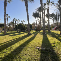 фото из отзыва ID 2324928