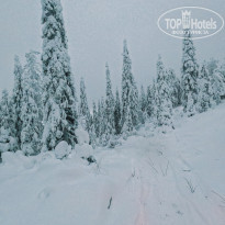 фото из отзыва ID 2325009