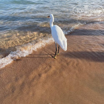 фото из отзыва ID 2325021