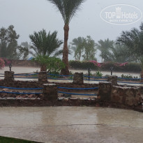 фото из отзыва ID 2325028