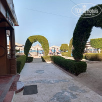 фото из отзыва ID 2325065