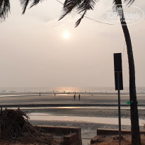 фото из отзыва ID 2325116