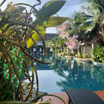 фото из отзыва ID 2325220