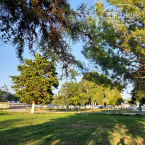 фото из отзыва ID 2325339