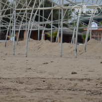 фото из отзыва ID 2325348