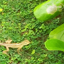 фото из отзыва ID 2325422