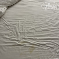 фото из отзыва ID 2325444