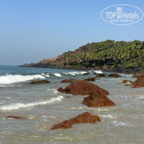 фото из отзыва ID 2325449